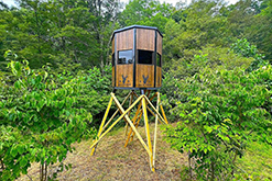 Elevated Hunting Blind in Forested Area Surrounded by Trees