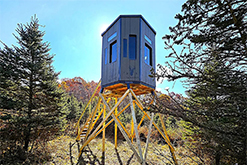Elevated Hunting Blind Amidst Autumn Foliage in Millersburg Woods