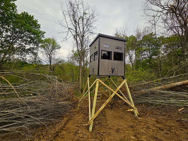Elevated Hunter's View Hunting Blind in Forested Area