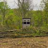 Camouflaged Hunting Blind in a Forested Area with Dense Foliage
