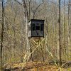 Elevated Hunting Blind Among Trees in Forest Setting