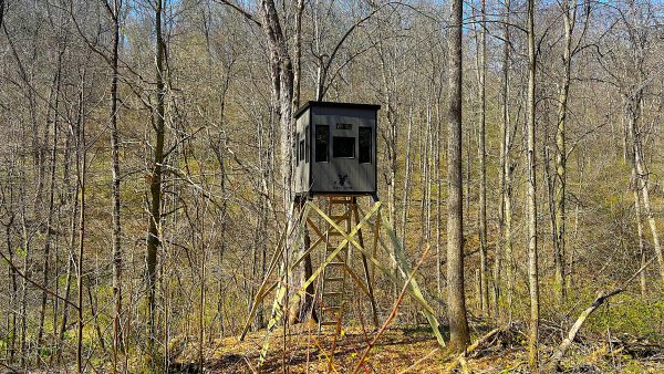 Elevated Hunting Blind Among Trees in Forest Setting