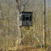 Elevated Hunting Blind in Forested Area, Surrounded by Tall Trees