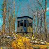 Hunting Blind in a Woodland Setting with Bare Trees and Clear Sky