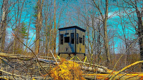 Hunting Blind in a Woodland Setting with Bare Trees and Clear Sky