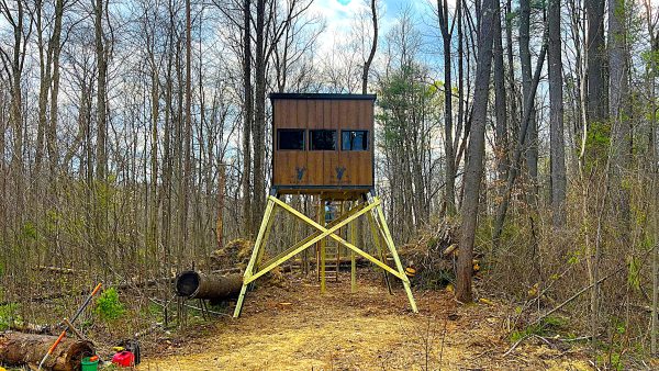 Elevated Wooden Hunting Blind in a Forested Area