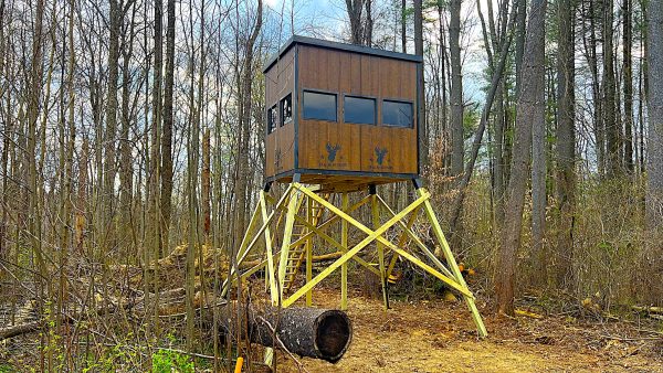 Elevated Wooden Hunting Blind Amidst Forest in Millersburg