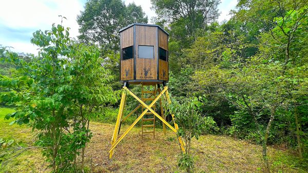 Wooden Hunting Blind Elevated Among Trees with Yellow Supports