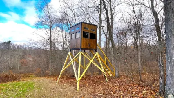 Elevated Wooden Hunting Blind in Forested Area with Yellow Support Beams